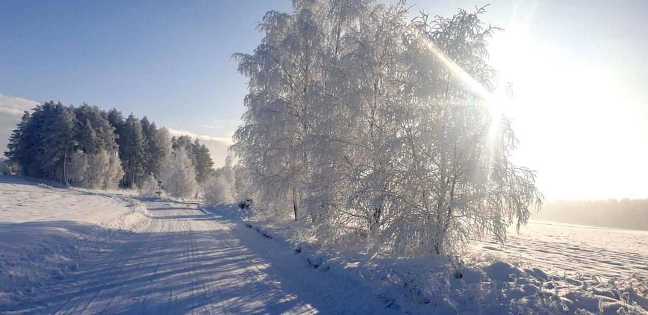 Ostoja Bukowo 12,2 Chata U Szoltesa Borowy Mlyn Buitenkant foto