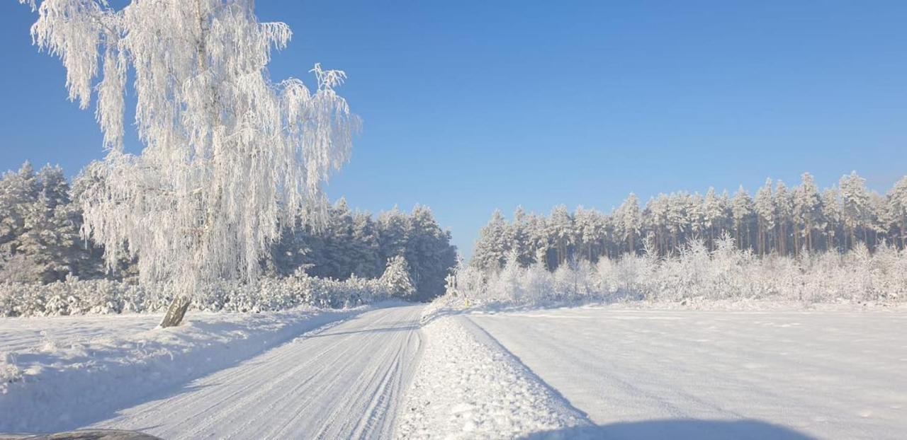 Ostoja Bukowo 12,2 Chata U Szoltesa Borowy Mlyn Buitenkant foto